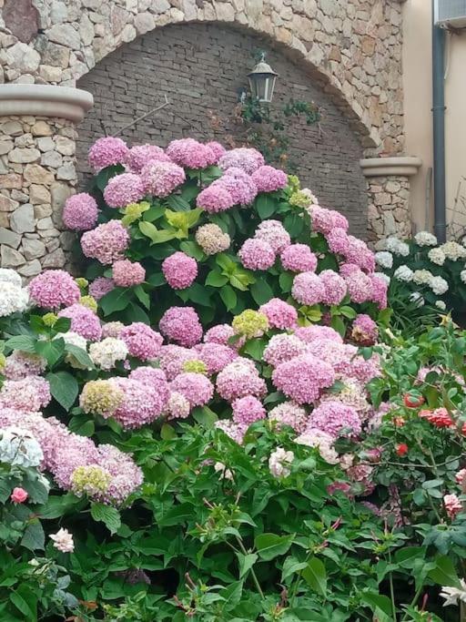 A Casa Di Gi Bed & Breakfast Porto Torres Exterior photo